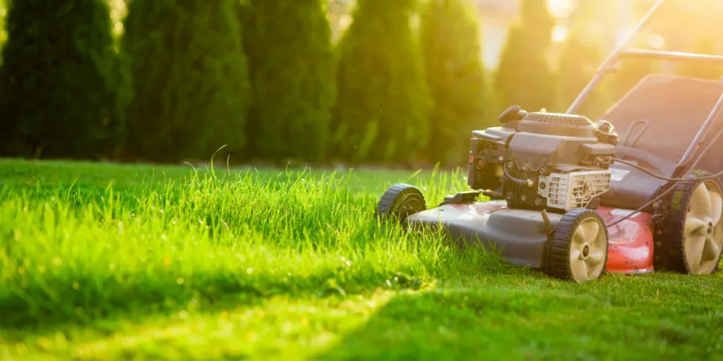 Best Mulching Lawn Mower Review