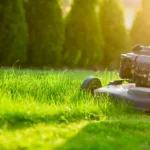 Best Mulching Lawn Mower Review