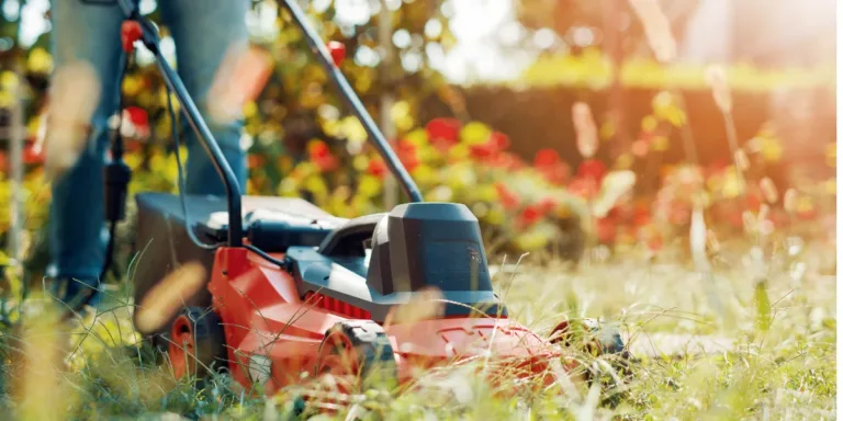 A Definitive Lawn Mower Buying Guide 4