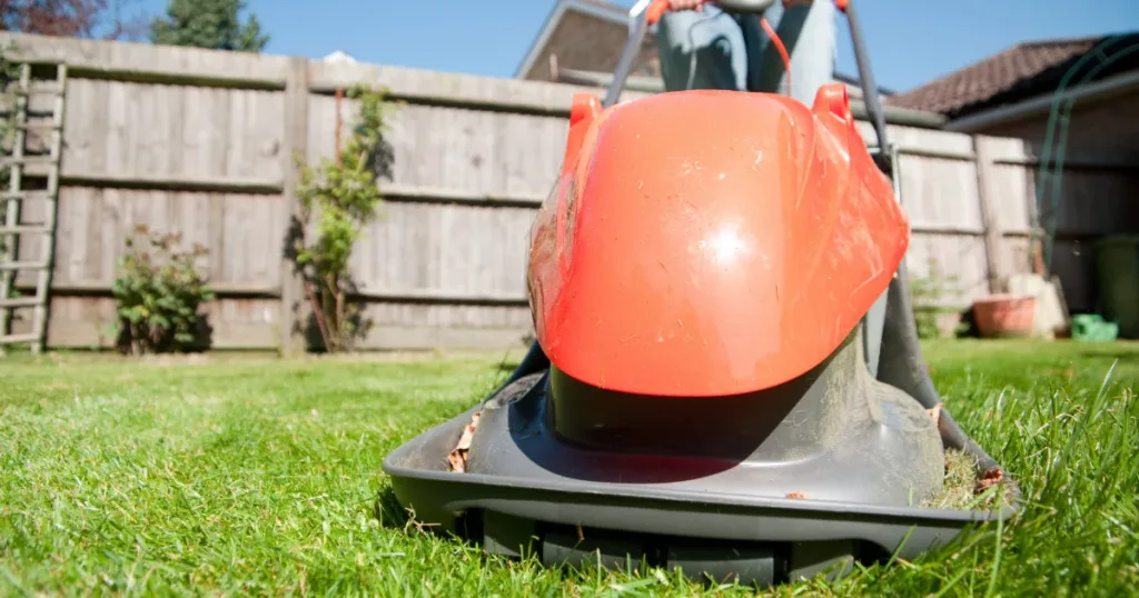 A Definitive Lawn Mower Buying Guide 8