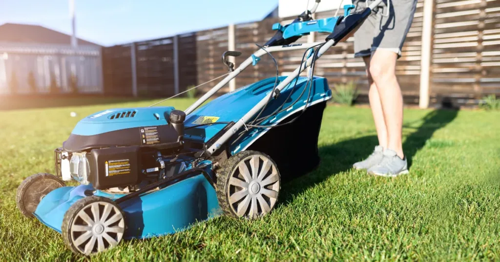A Definitive Lawn Mower Buying Guide In 2022 3