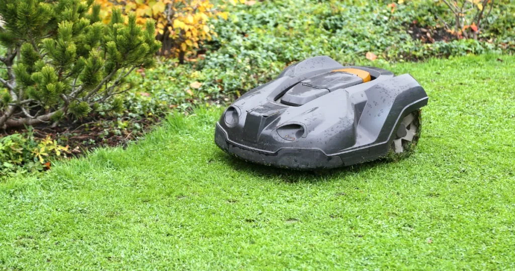 A Definitive Lawn Mower Buying Guide 7