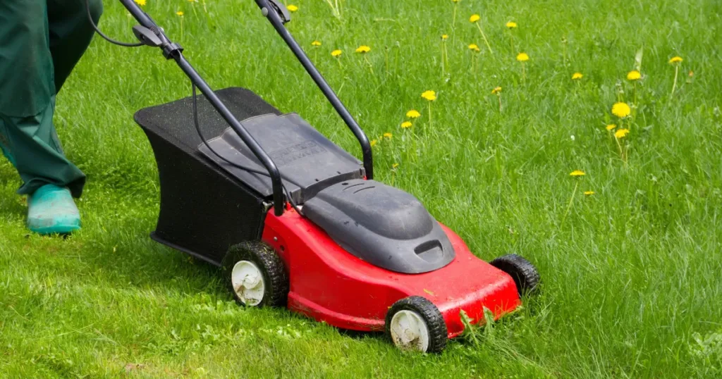 A Definitive Lawn Mower Buying Guide 5