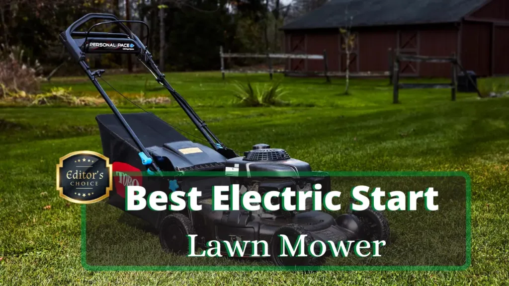 Best Electic Start Lawn Mower 1