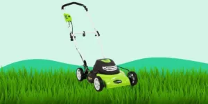 GreenWorks 25022 Review - Worth for Money? 2