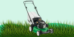 GreenWorks 25022 Review - Worth for Money? 1