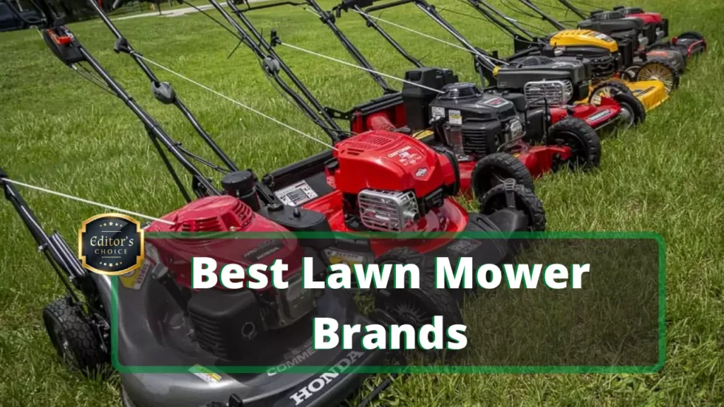 Best Lawn Mower Brands In 2024 1