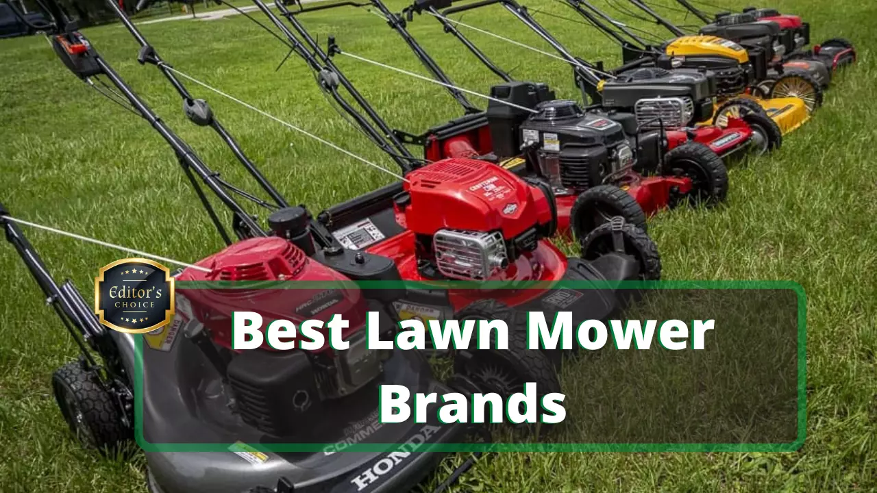 Best Lawn Mower Brands In 2024 in 2024 MowersLab