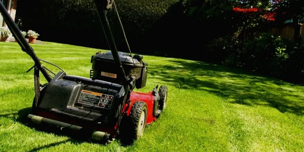 Best Lawn Mower for Tall Person 1