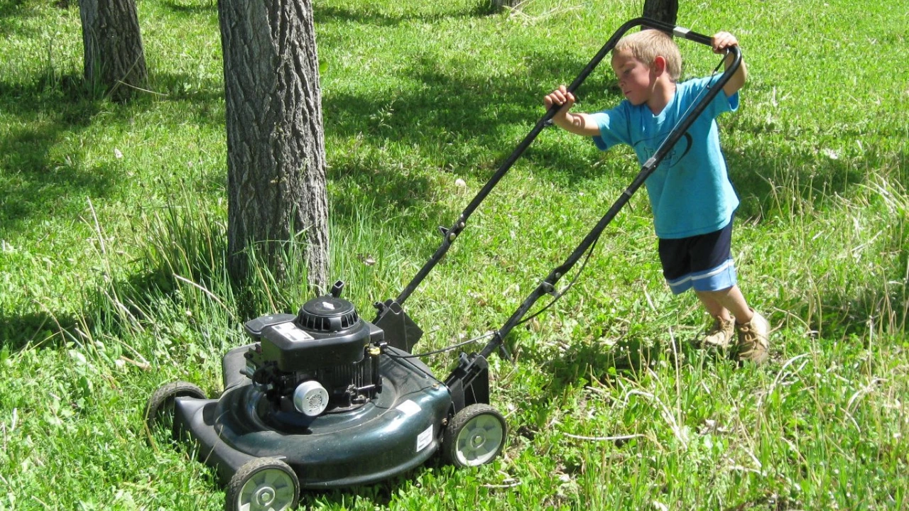 Are Lawn Mowers Age Restricted? 1