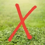 Disadvantages of Mulching Grass 8