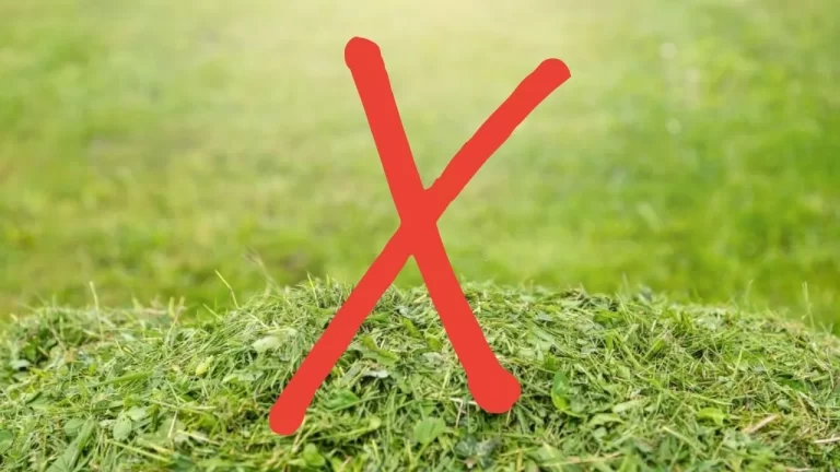 Disadvantages of Mulching Grass 10