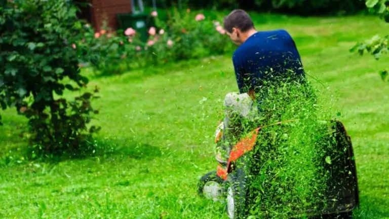 Mulching Vs Side Discharge - Which One Better for Lawn? 4