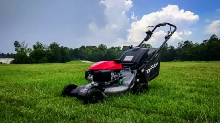 Honda Lawn Mower Oil Type - What Type Is Safe to Use? 1