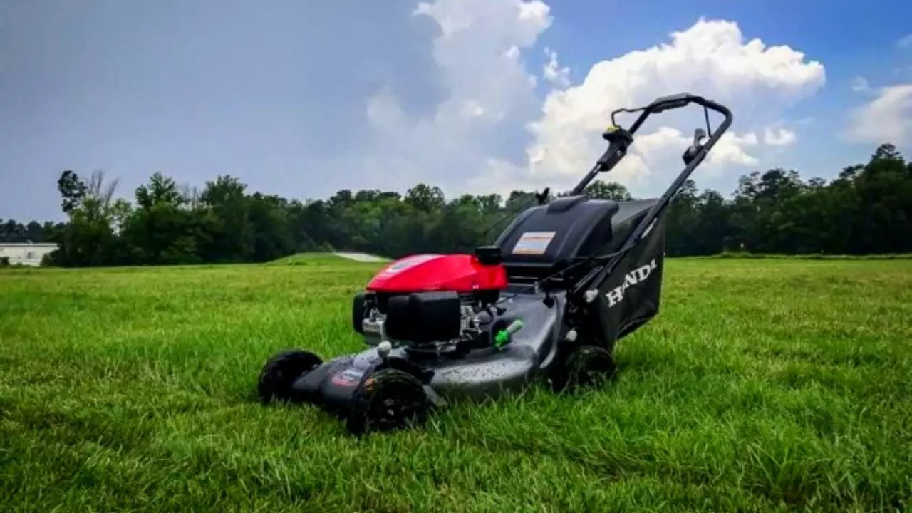 Honda Lawn Mower Oil Type - What Type Is Safe to Use? 2