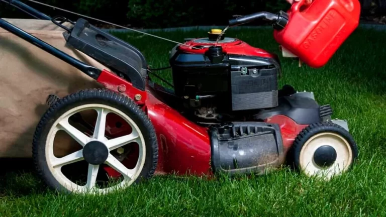 Yard Machine Lawn Mower Oil Type – What Type Is Safe to Use?  33
