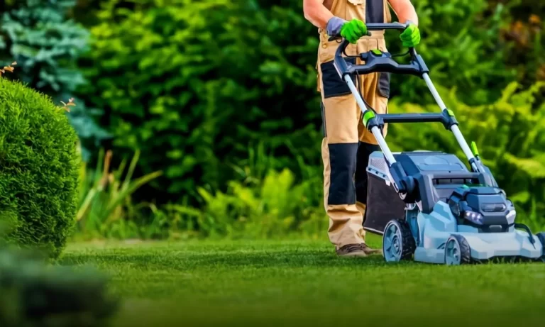 How Does Electric Lawn Mowers Work? 11