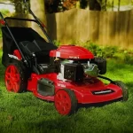 Powersmart Lawn Mower Oil Type - What Type Is Safe to Use? 6