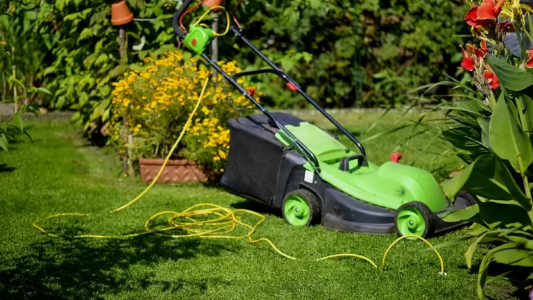 Does an Electric Lawn Mower Need Oil? 2