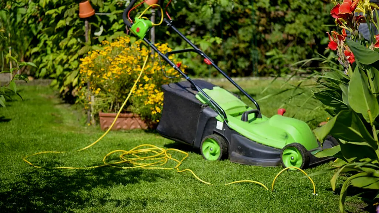 Does an Electric Lawn Mower Need Oil? 1