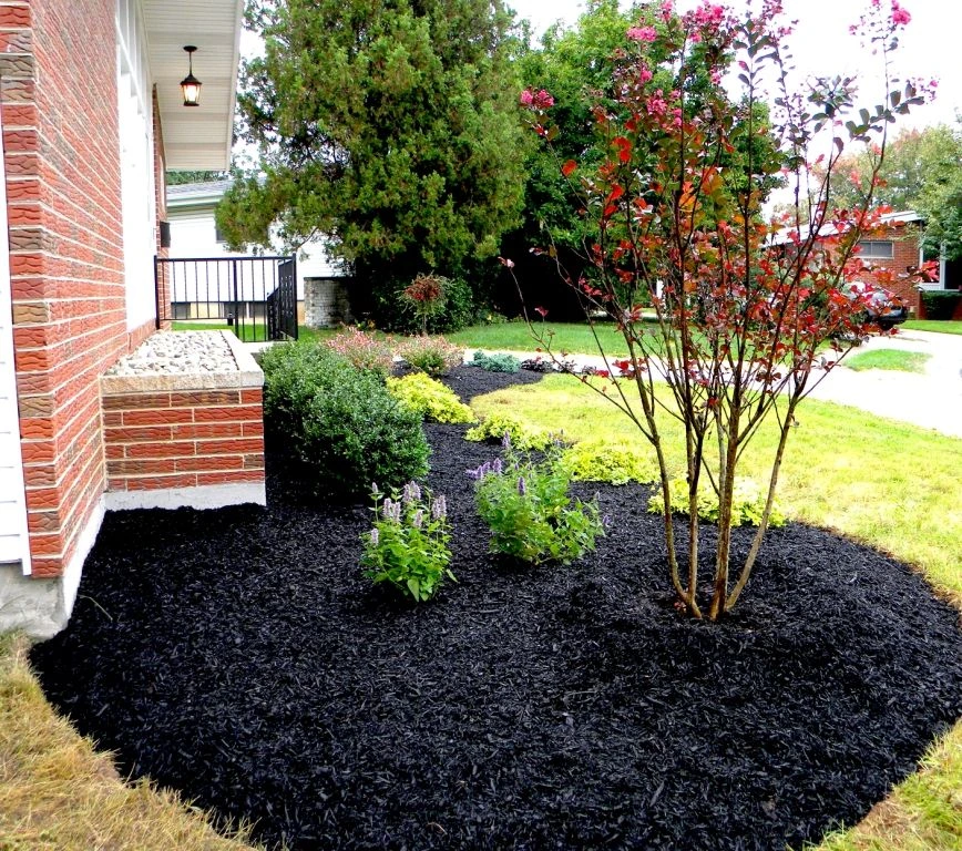 Black-Mulch-for-red-brick-house