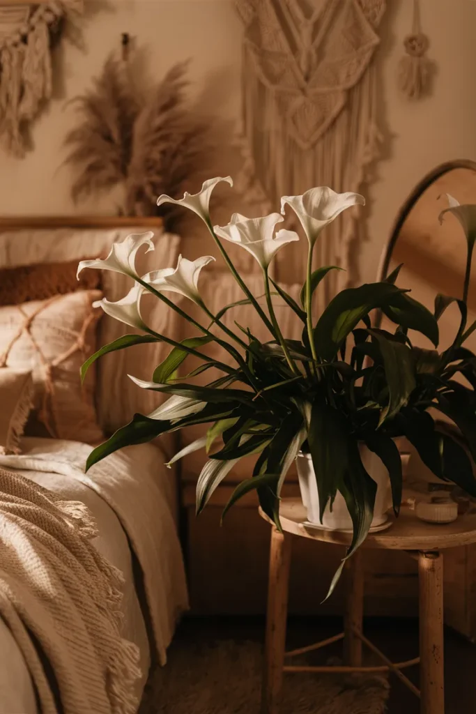 13 Gorgeous Plants to Transform Your Boho Bedroom Instantly 18