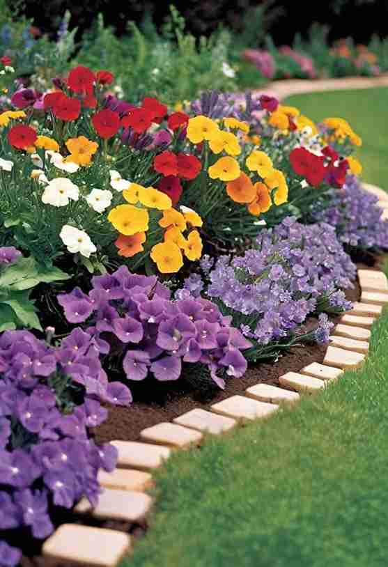 31 Lawn Edging Ideas to Keep Your Plantings Tidy 8