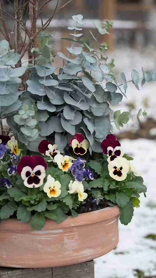 29 Winter Planter Ideas You’ll Want to Steal for a Gorgeous Garden Makeover! 5