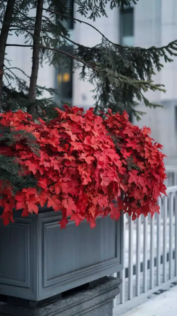 29 Winter Planter Ideas You’ll Want to Steal for a Gorgeous Garden Makeover! 12