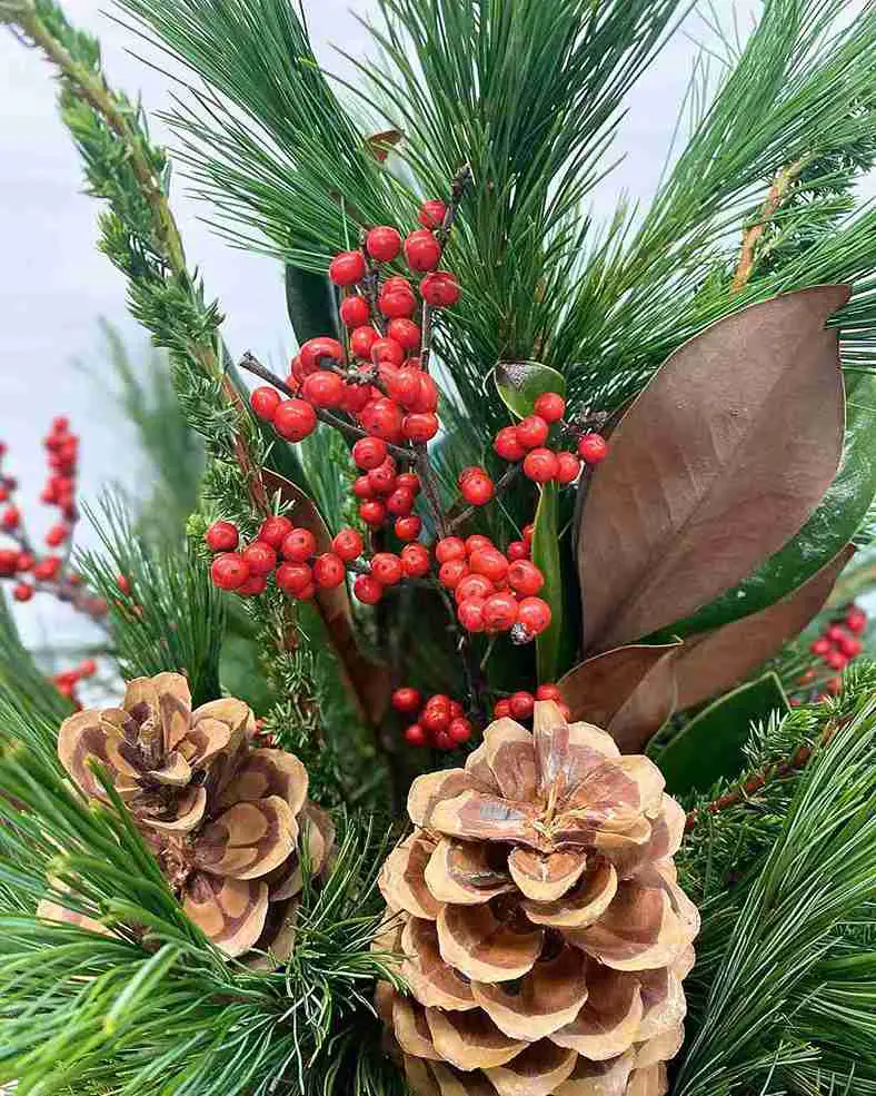 27 January Flower Ideas to Add Beauty and Warmth to Winter 23