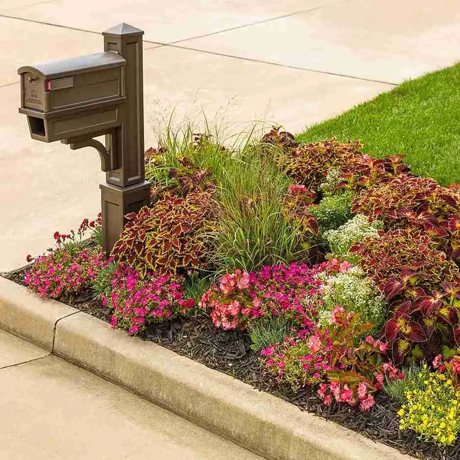 27 Stunning Mailbox Landscaping Ideas for Full Sun to Boost Curb Appeal and Wow Neighbors 6