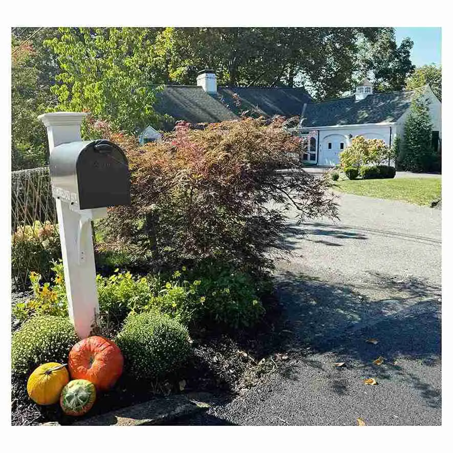 27 Stunning Mailbox Landscaping Ideas for Full Sun to Boost Curb Appeal and Wow Neighbors 18