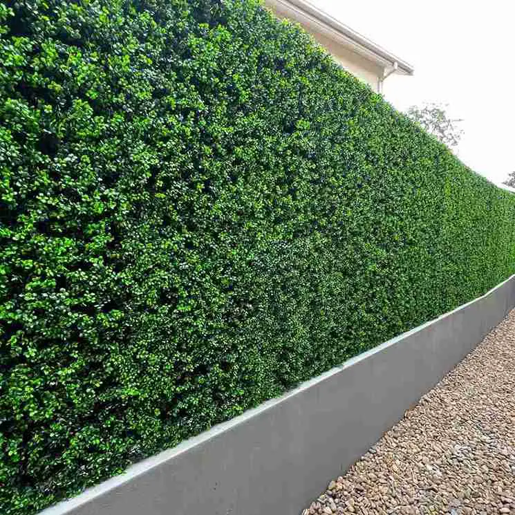 19 Privacy Fence Ideas to Enhance Your Outdoor Space 18