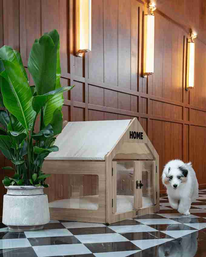 17 Outdoor Dog House Ideas: Create a Cozy Space for Your Pet 10