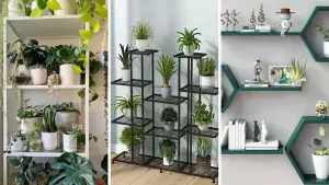 31 Stunning Plant Shelf Ideas That Will Instantly Transform Your Space