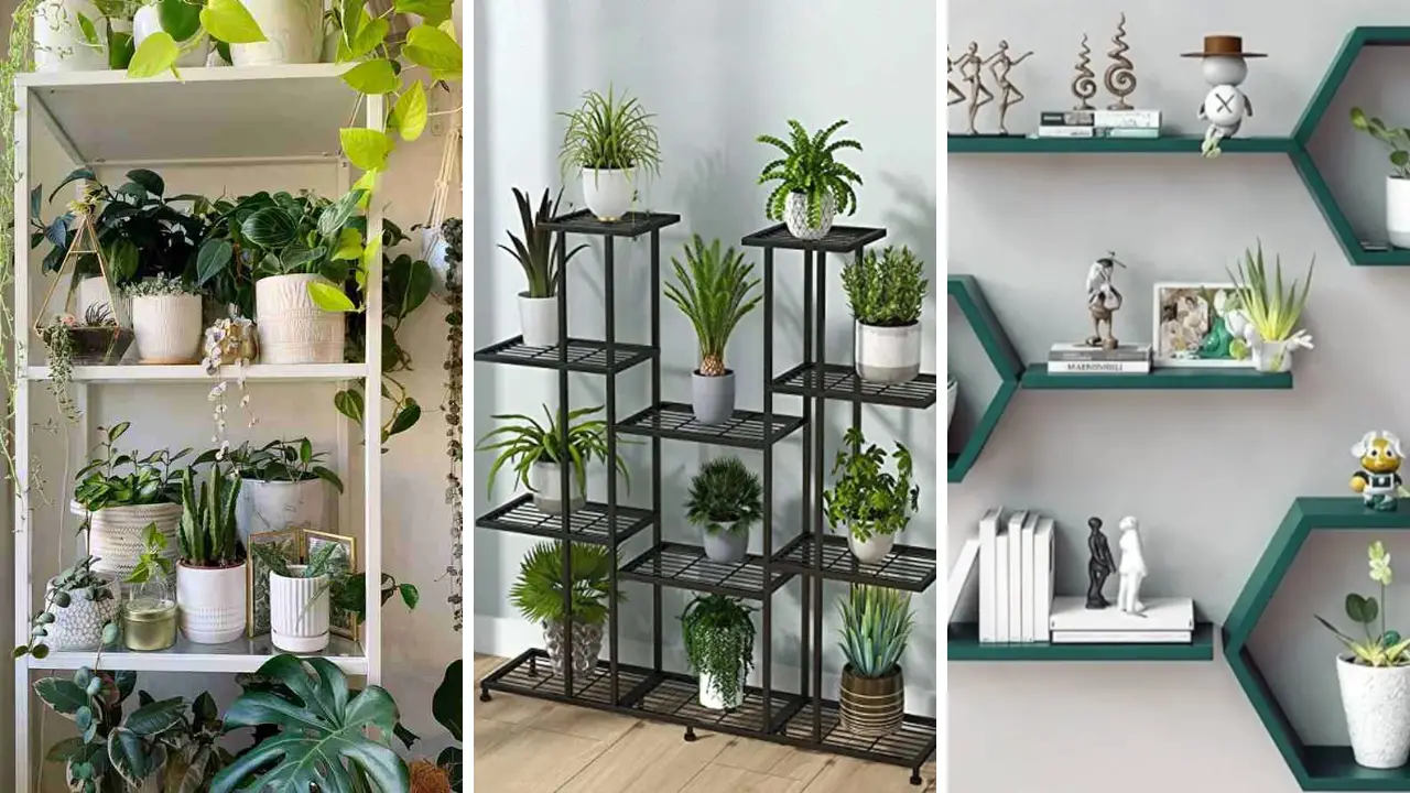 31 Stunning Plant Shelf Ideas That Will Instantly Transform Your Space 1