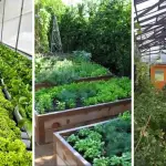 23 Backyard Farming Layout Ideas: Transform Your Outdoor Space 37