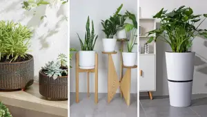 21 Modern Planters to Perk Up Your Indoor and Outdoor Space