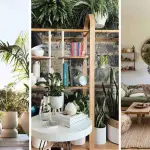 27 Living Room Ideas with Plants to Bring Freshness and Style to Your Space 8