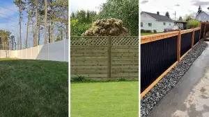 19 Privacy Fence Ideas to Enhance Your Outdoor Space