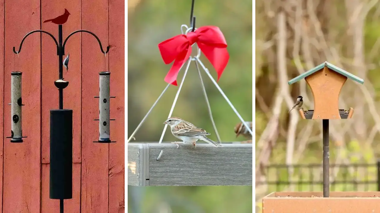 13 DIY Bird Feeder Station Ideas to Transform Your Backyard 1