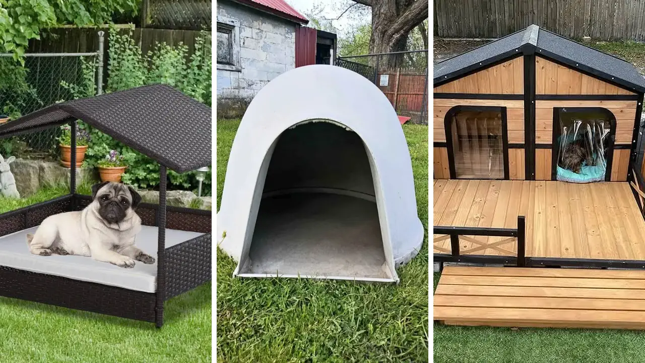 17 Outdoor Dog House Ideas: Create a Cozy Space for Your Pet 1