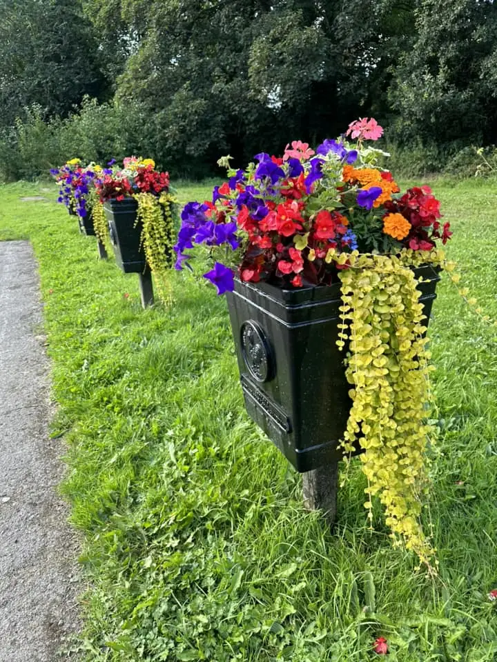 27 Stunning Mailbox Landscaping Ideas for Full Sun to Boost Curb Appeal and Wow Neighbors 20