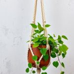 13 Creative Wall Macrame Plant Hanger Ideas for Your Home Decor 6