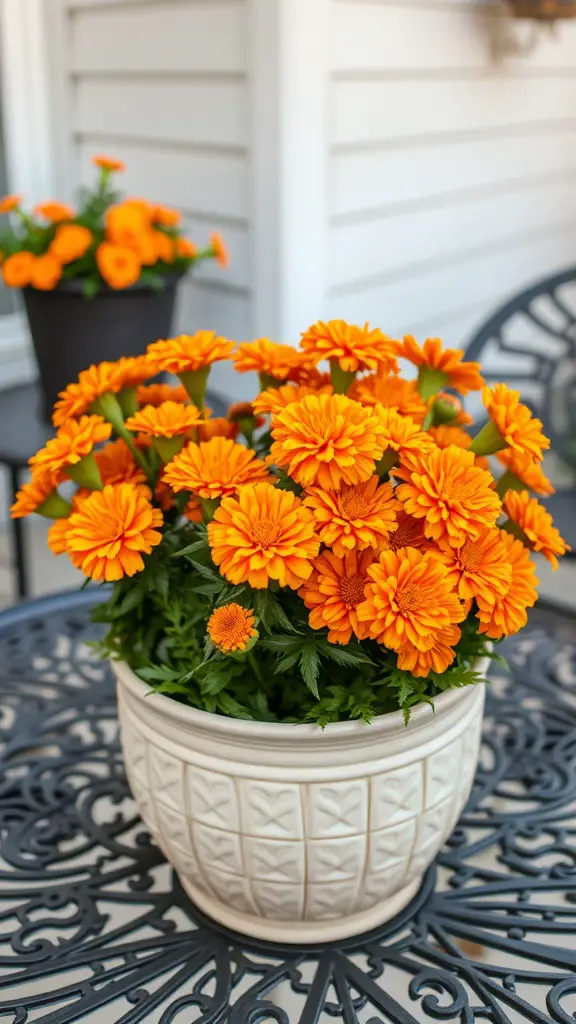 25 Beautiful Flowers Perfect for Container Gardening 9 A pot of vibrant orange marigolds on a decorative table.