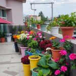 25 Creative Rooftop Garden Ideas for Your Urban Oasis 8