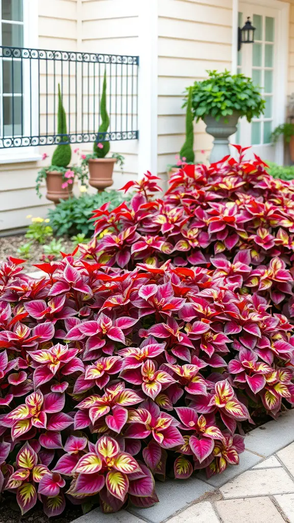 27 Stunning Potted Flowers Perfect for Your Patio 2