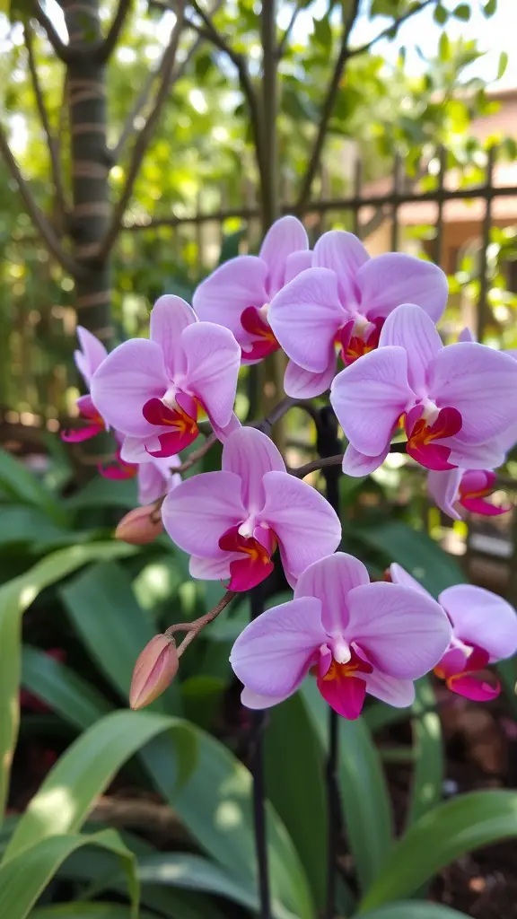 25 Beautiful Cut Flower Garden Ideas to Brighten Your Home 8 Pink orchids in a garden setting