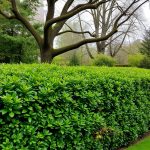 27 Creative and Affordable DIY Fence Ideas for Your Yard 116