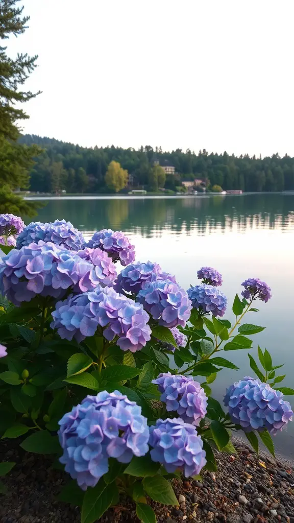 A vibrant display of blue and purple hydrangeas blooming near a calm body of water, surrounded by trees and mountains.